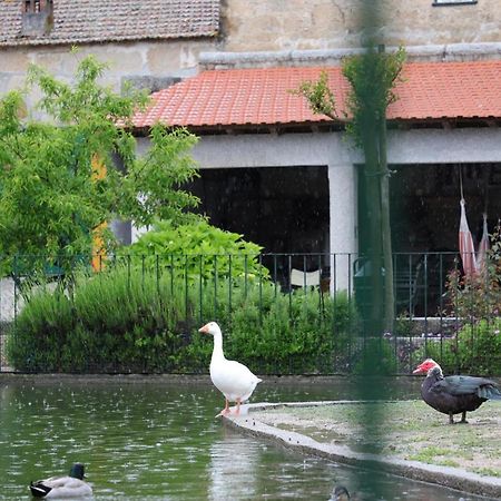 Pinhanços Quinta Dos Patosヴィラ エクステリア 写真